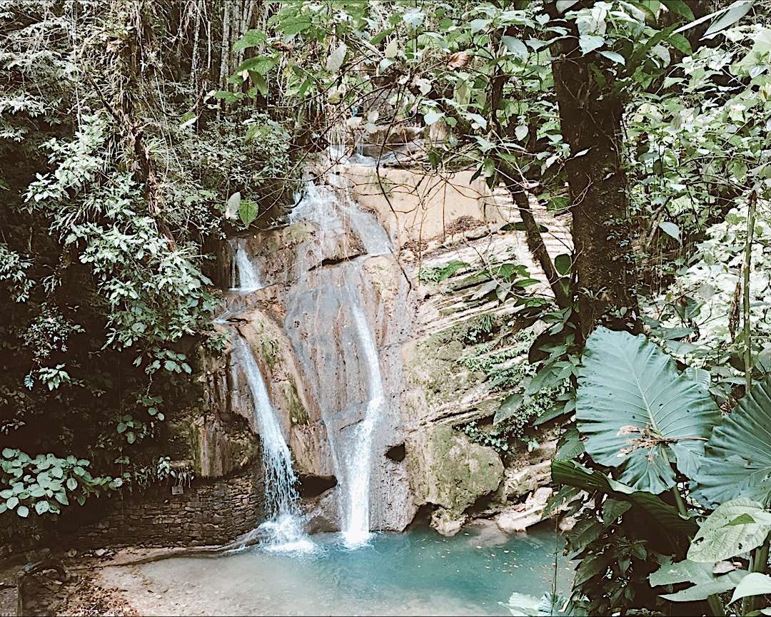 Things to do in Xilitla Mexico - Passporter Blog