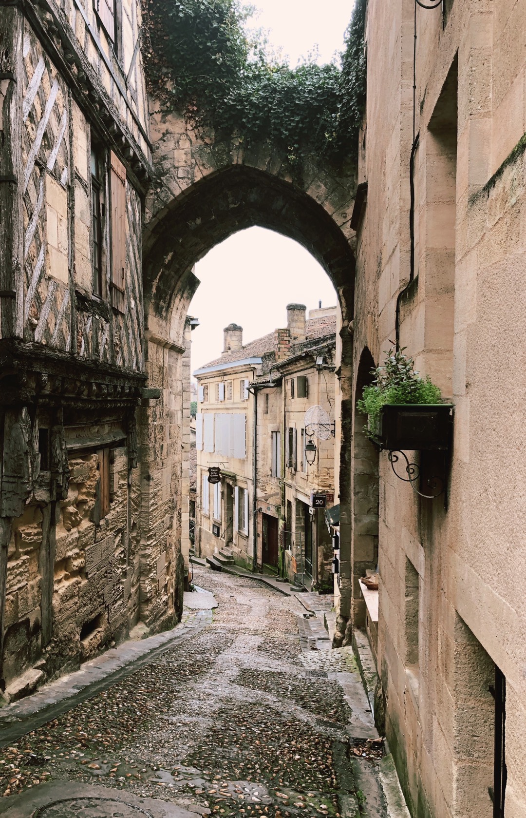 Saint-Emilion 
