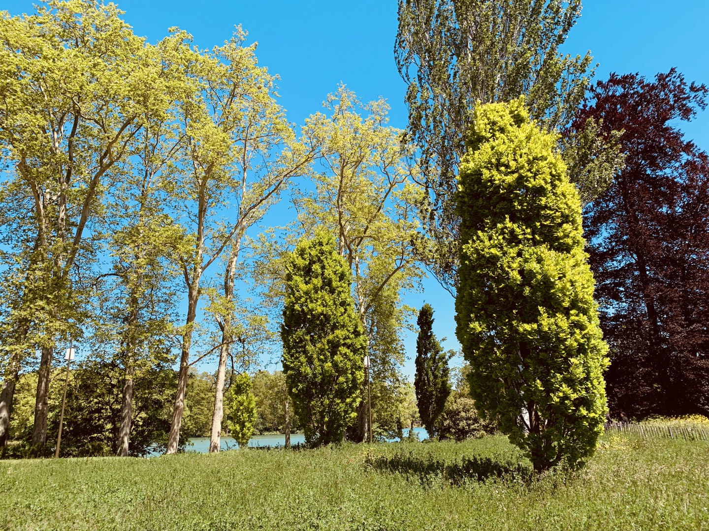 Parque La Tete d'Or em Lyon