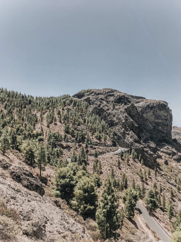 Monumento natural Roque de Nublo 