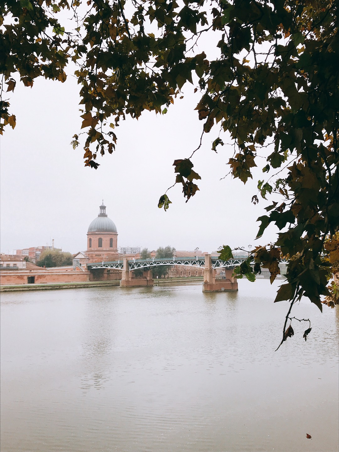 Quai de la Daurade em Toulouse