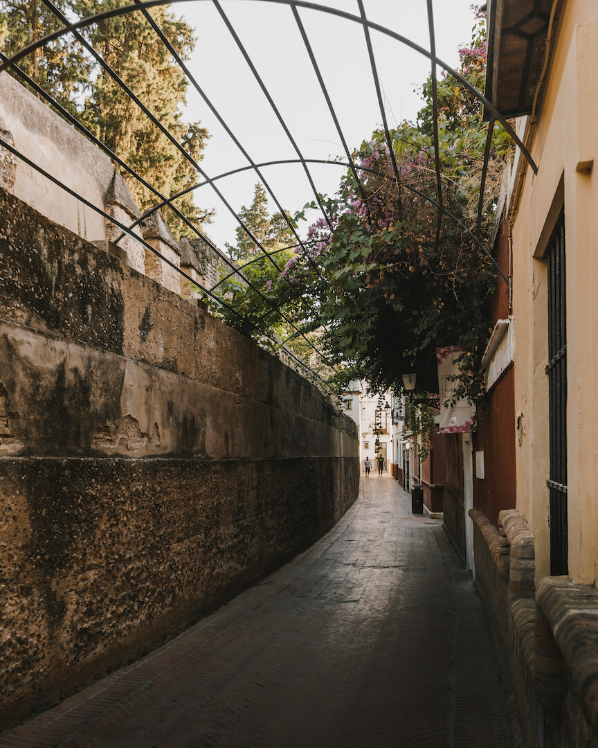 Barrio de Santa Cruz de Sevilla