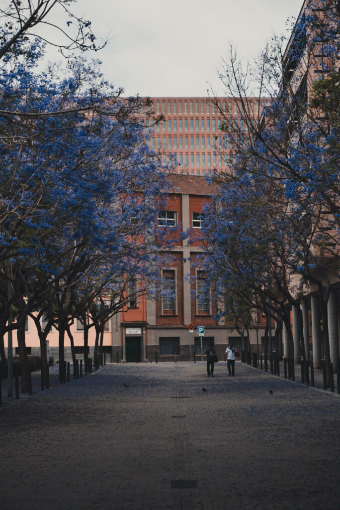 Centro histórico de Peñíscola