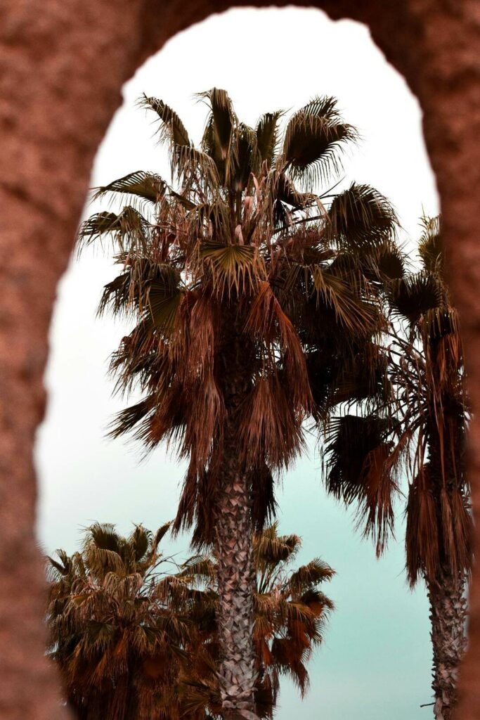 Playa de la Malagueta