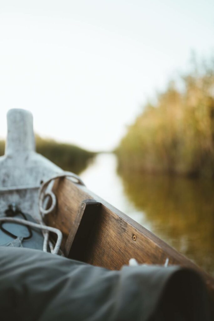 O que ver Albufera comunidad Valenciana