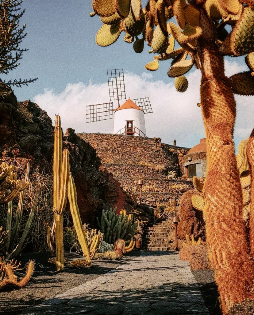 Jardín de Cactus de Lanzarote