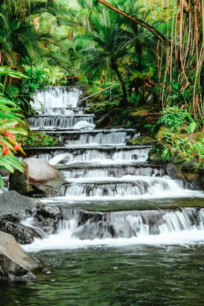 Lankester Botanical Garden costa rica