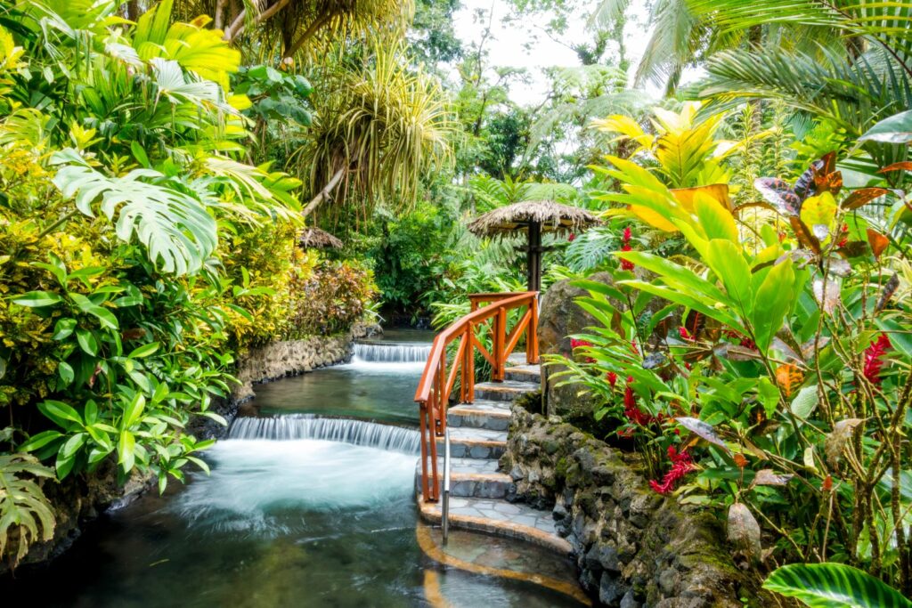 jardín mariposas san josé costa rica