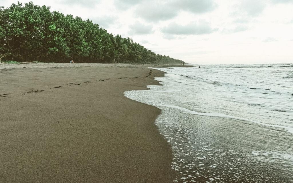 que faire Playa Tortuguero, Costa Rica