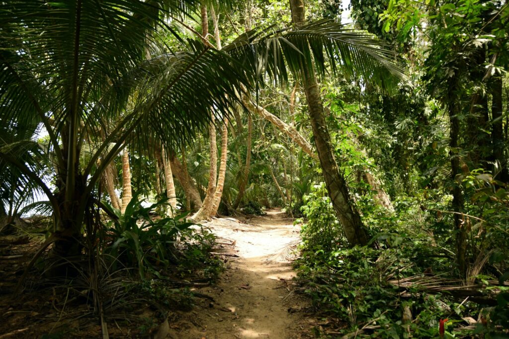 Tortuguero National Park limón