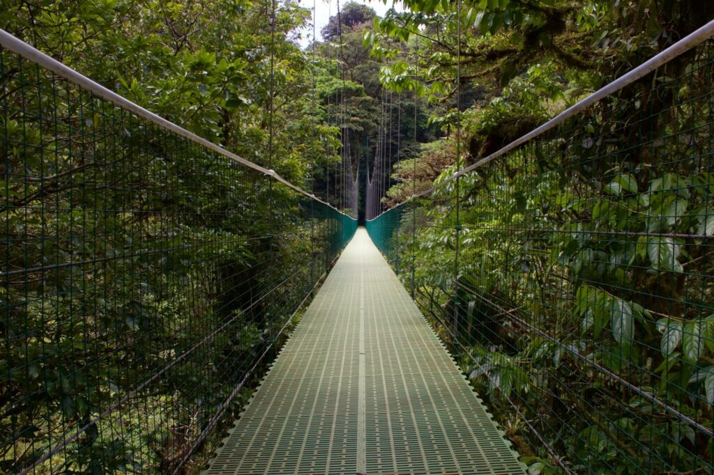 Monteverde Cloud Forest