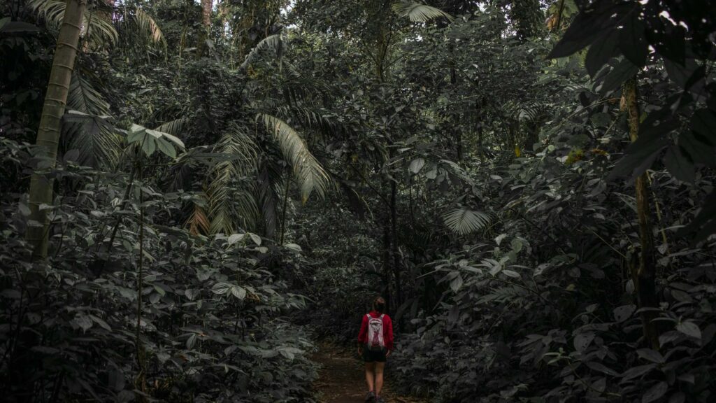 que faire volcan alajuela