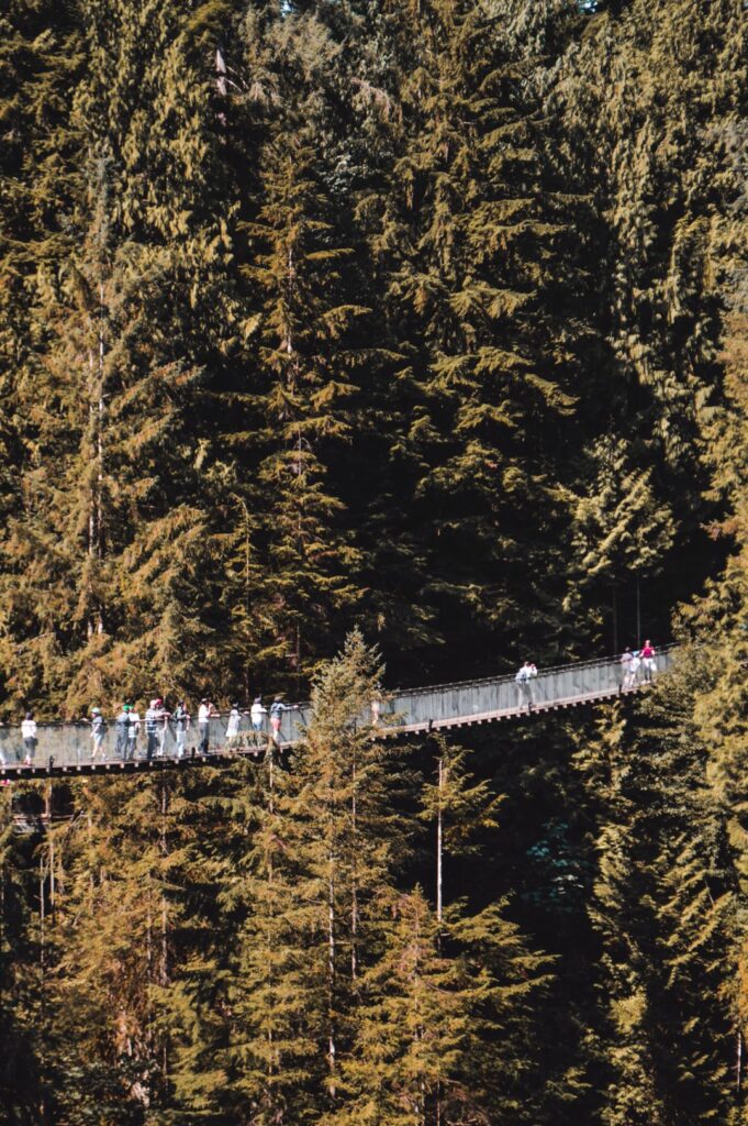 vancouver capilano bridge