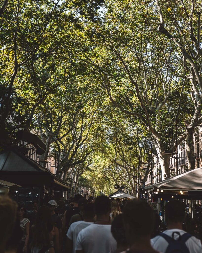 las ramblas de barcelona