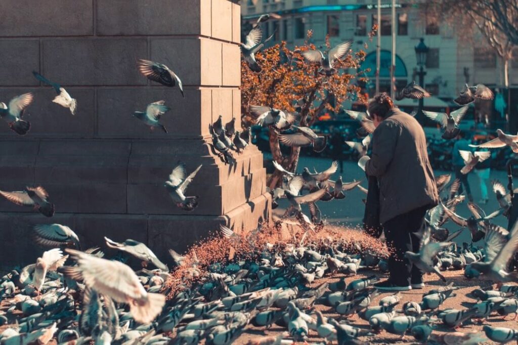 o que ver na praça da catalunha