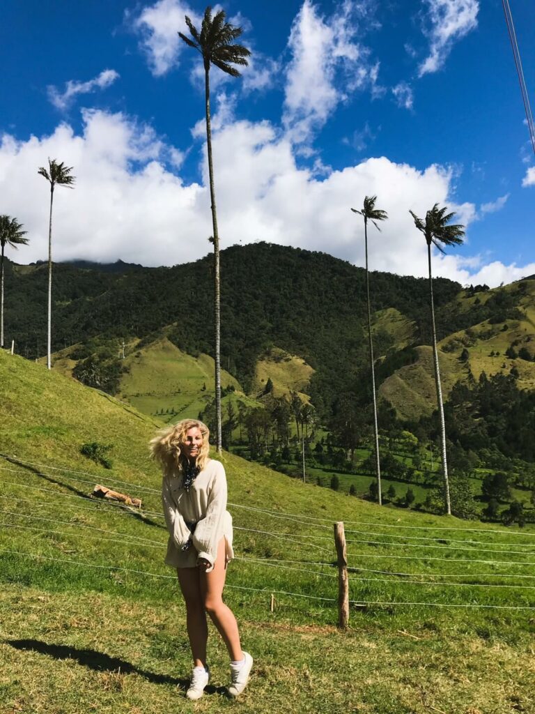 palmas vallee cocora