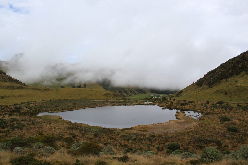 Parque Nacional Natural Los Nevados, Manizales Colômbia