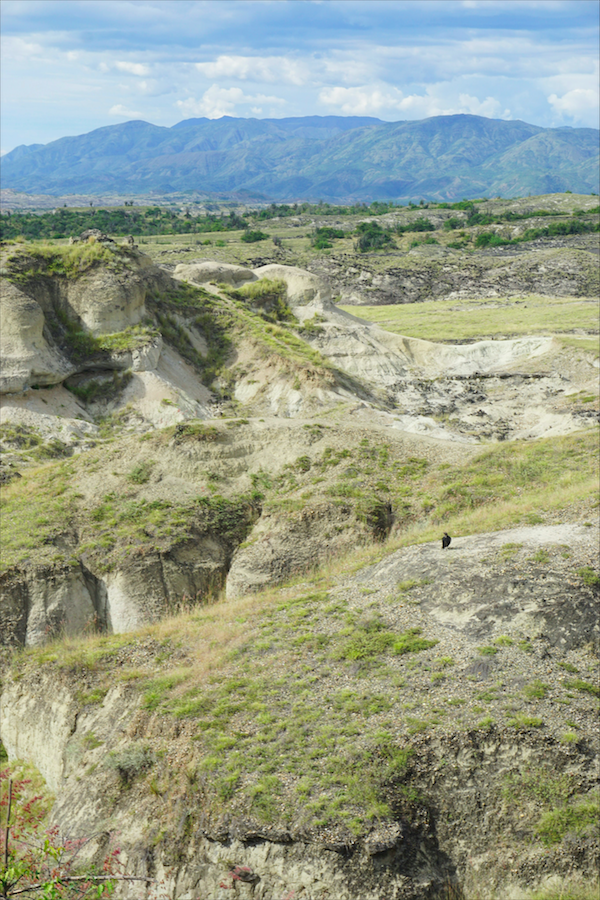  Deserto de Tatacoa