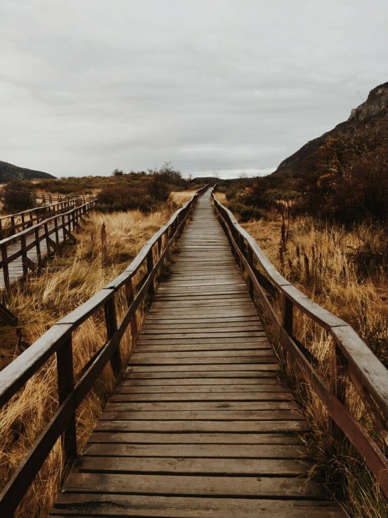 parque nacional tierra del fuego que hacer en ushuaia