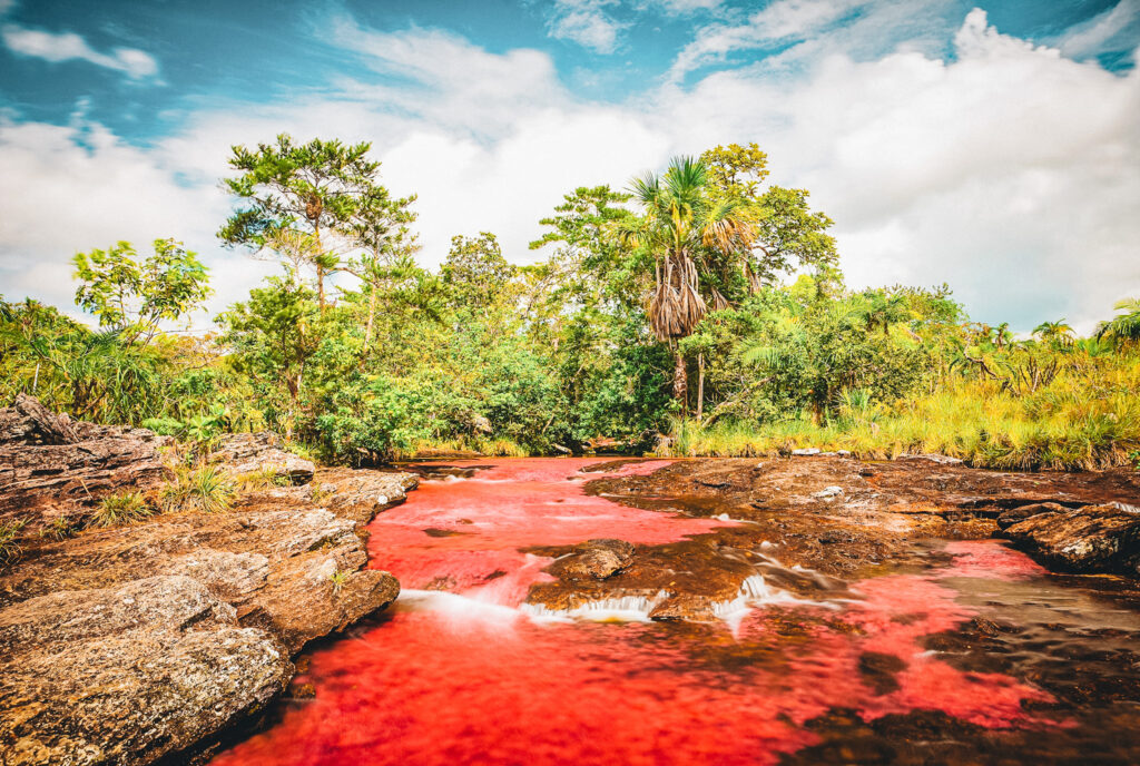 Caño Cristales Colômbia