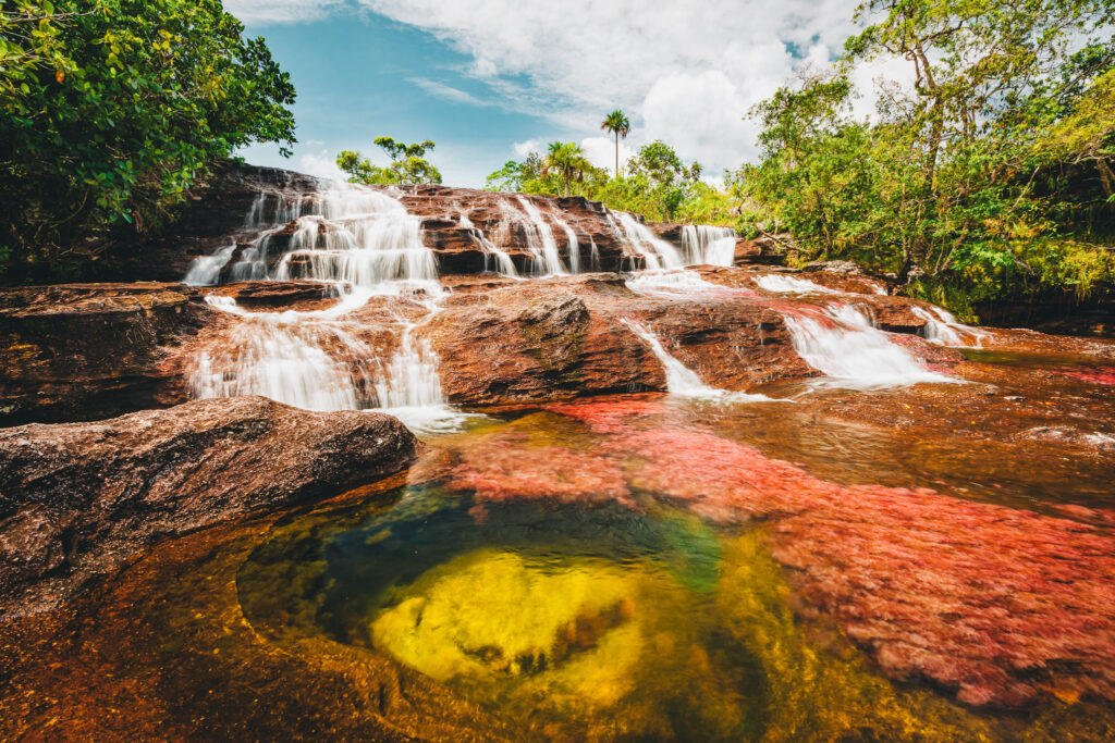 Viagem a Caño Cristales, Colômbia 