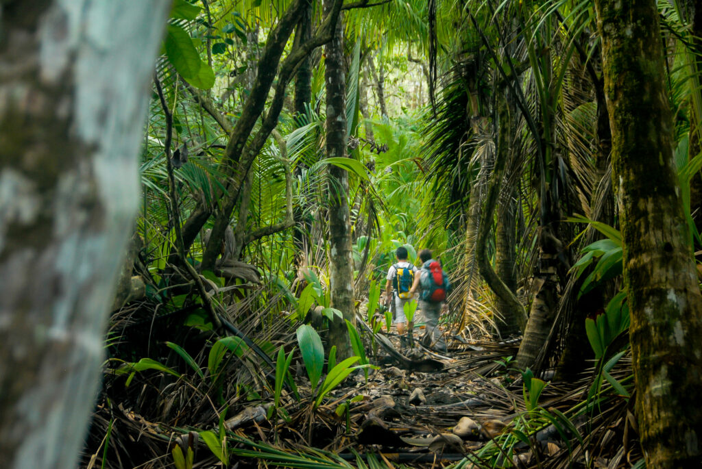 que faire Palo Verde National Park guanacaste