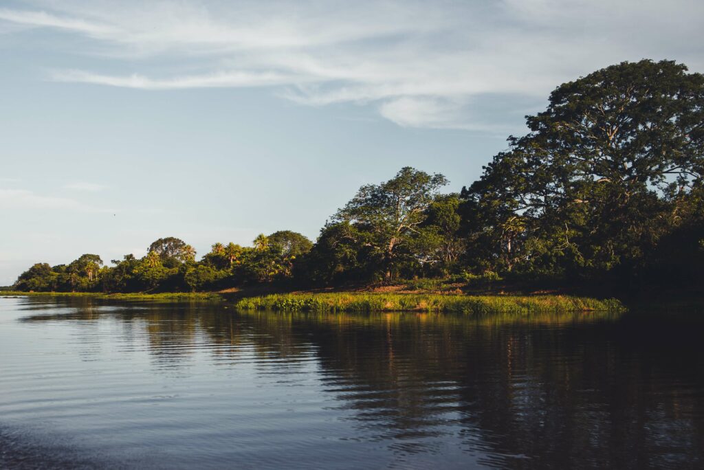 pantanal-brasil