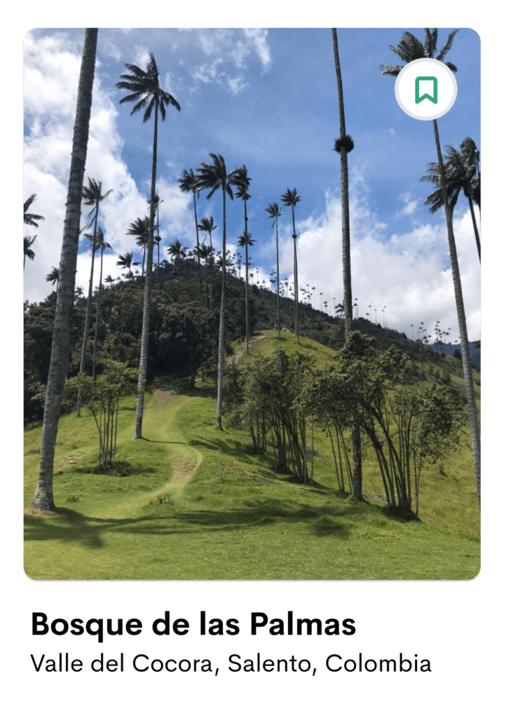 Bosque de las Palmas no Valle del Cocora