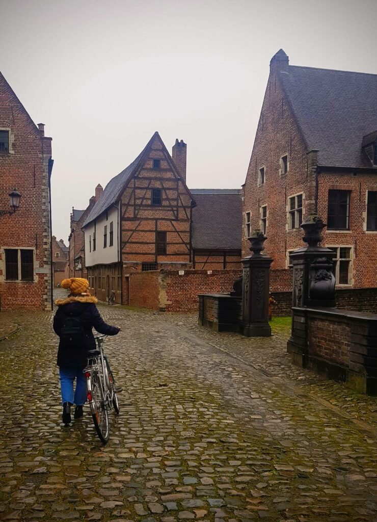 LES 7 INCONTOURNABLES DE LOUVAIN visual data 2