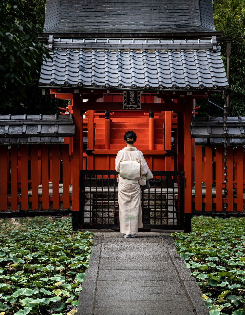 what to see in Japan Kyoto