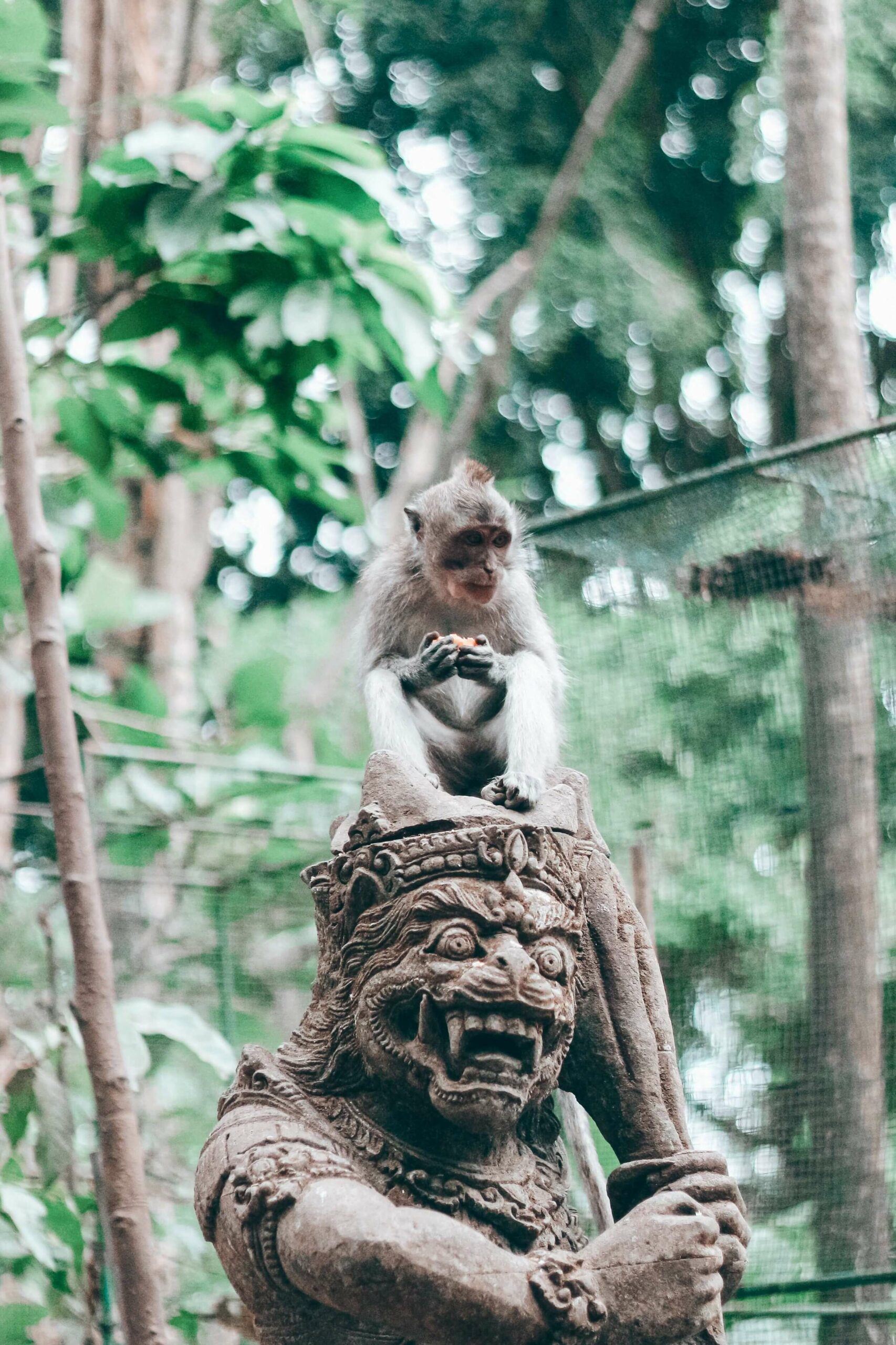 Forêt de singes à Ubud