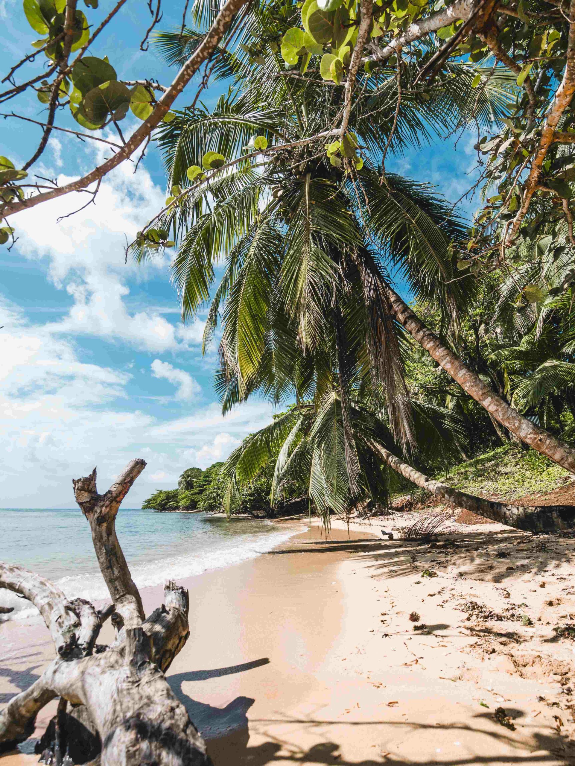 Corn Island: o que ver na Nicarágua