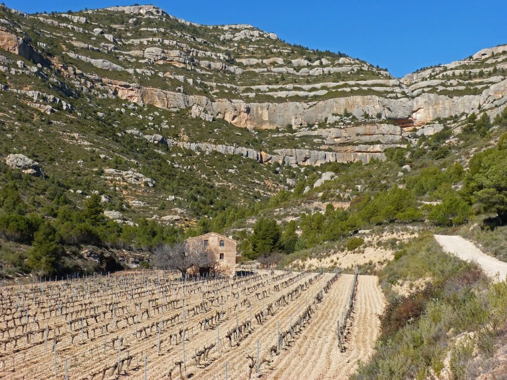 vino priorat