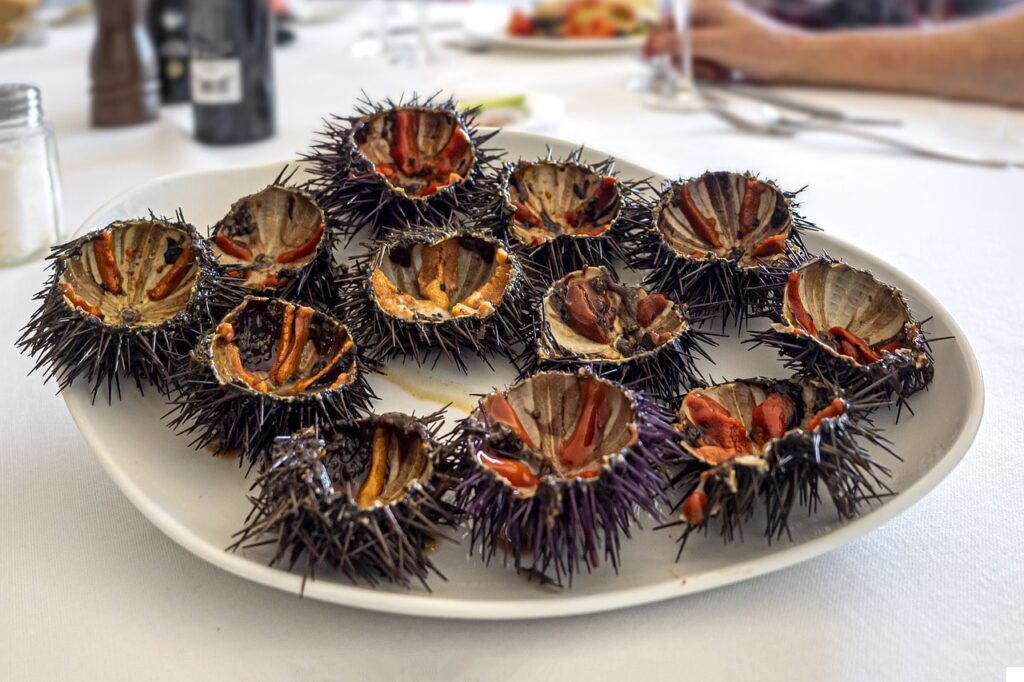 Ouriços do mar, o que comer em Calella Palafrugel