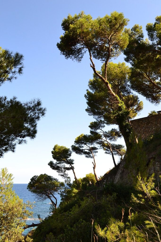 Jardins de Santa Clotilde