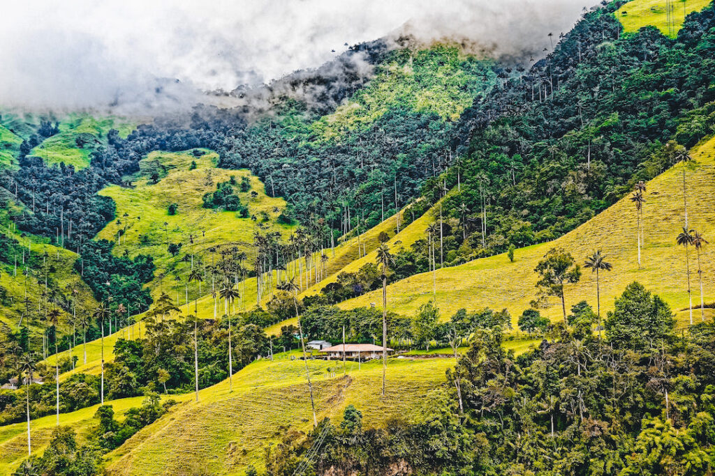 Mirantes no Valle del Cocora