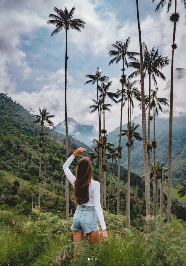 Valle del Cocora na Colômbia