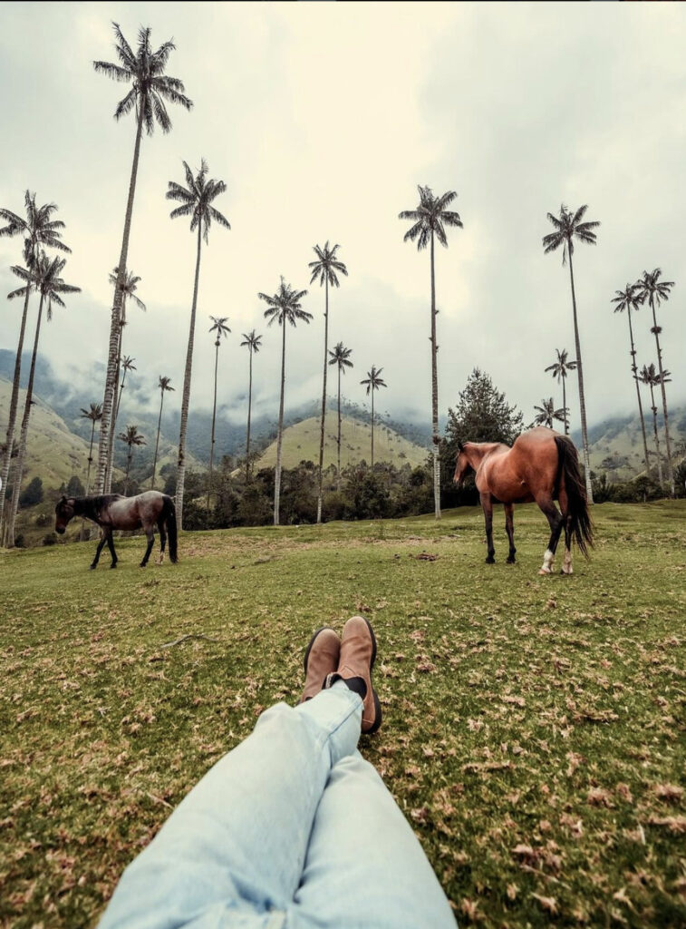 Valle del Cocora