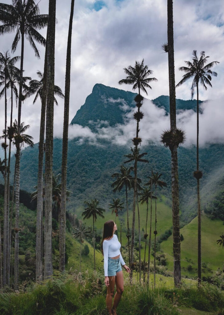 Valle del Cocora na Colômbia