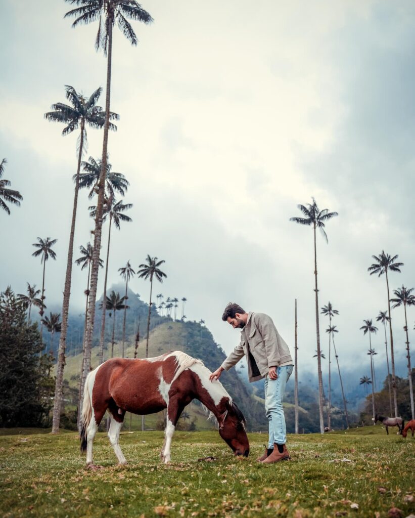 tour a cavalo pelo Valle del Cocora