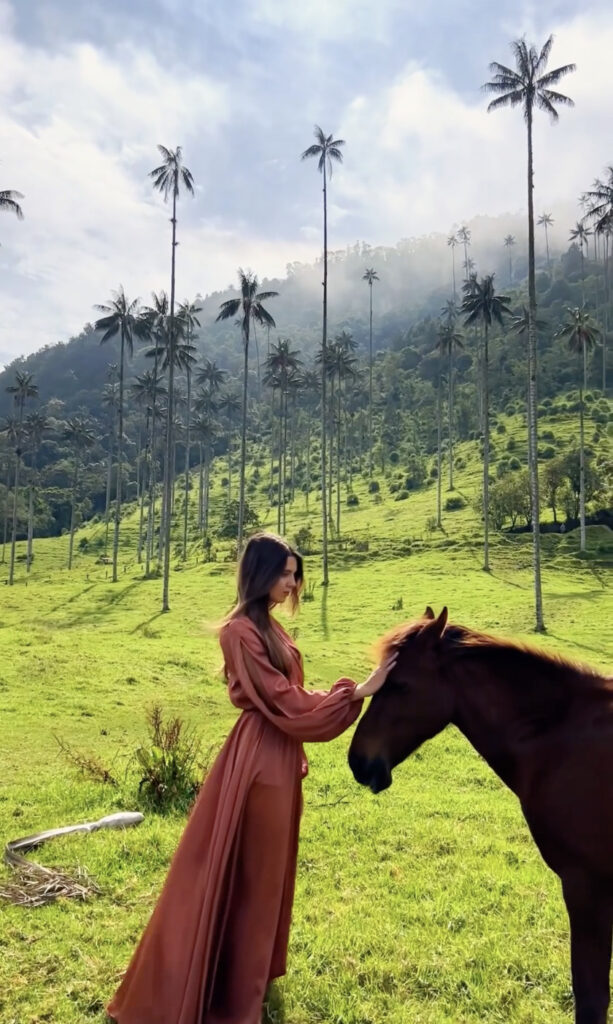 Valle del Cocora na Colômbia