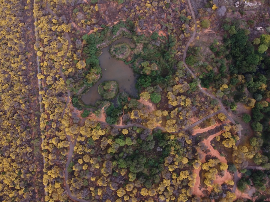 Jardim Botânico de Maracaibo