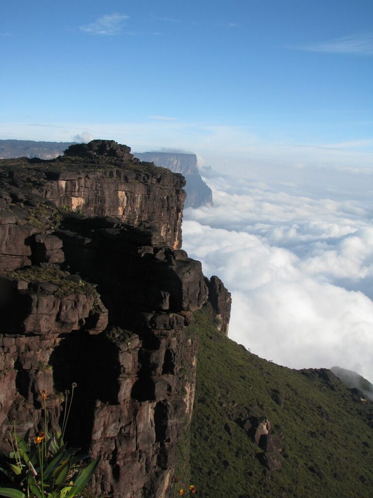 como chegar a roraima