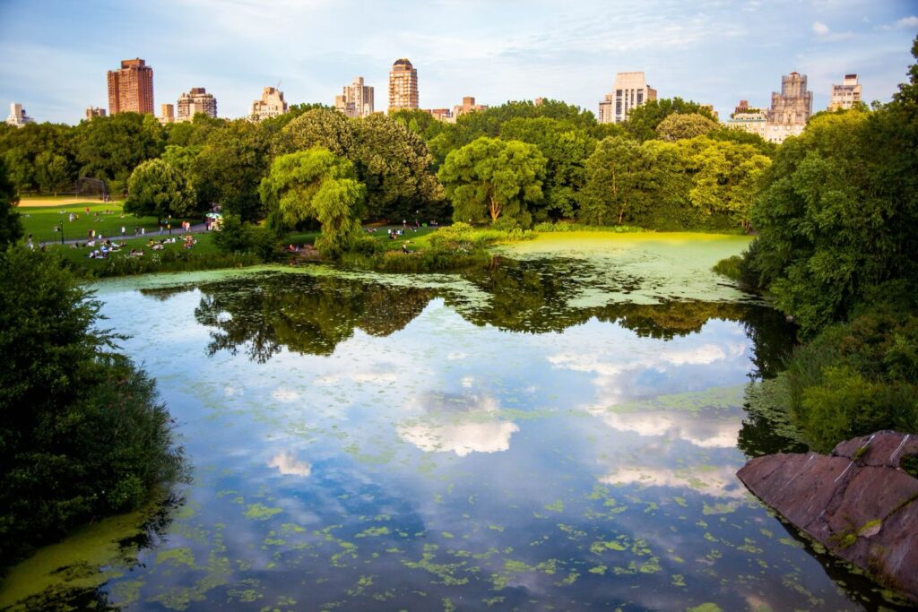 Central Park em Nova York