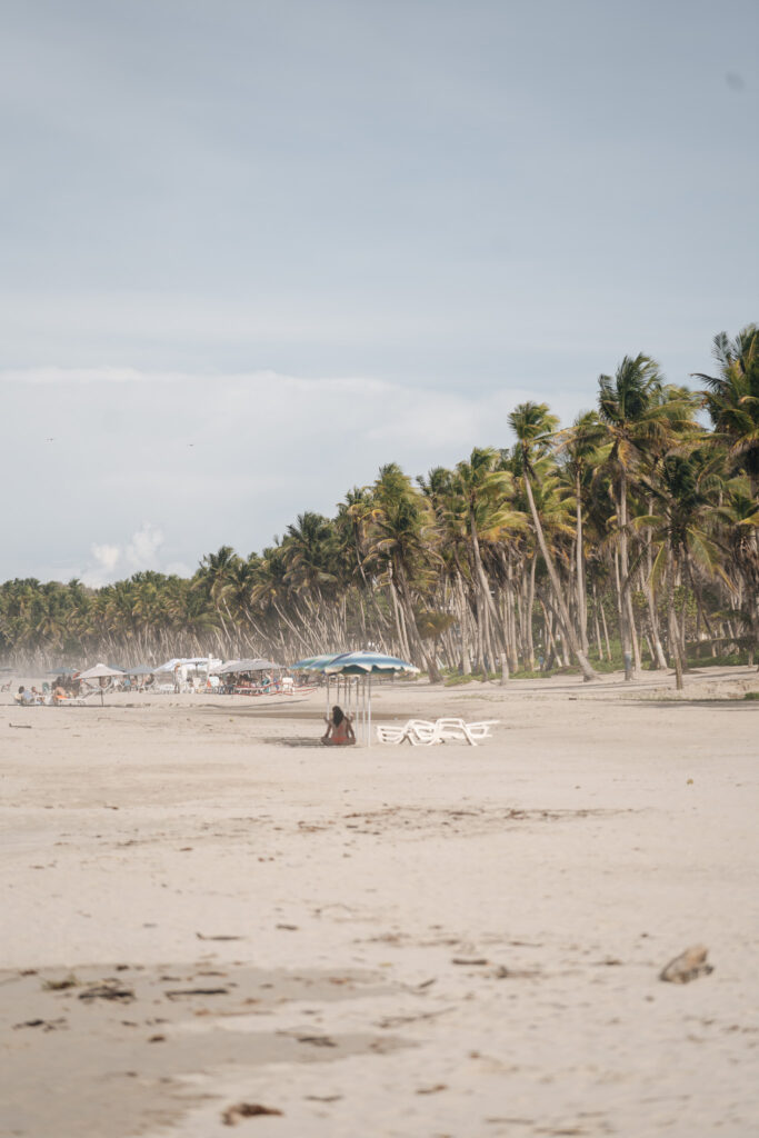 Organize uma viagem à Isla Margarita