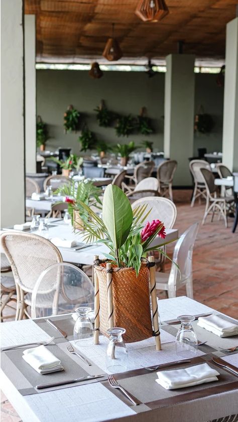 Gastronomia no Parque Canaima