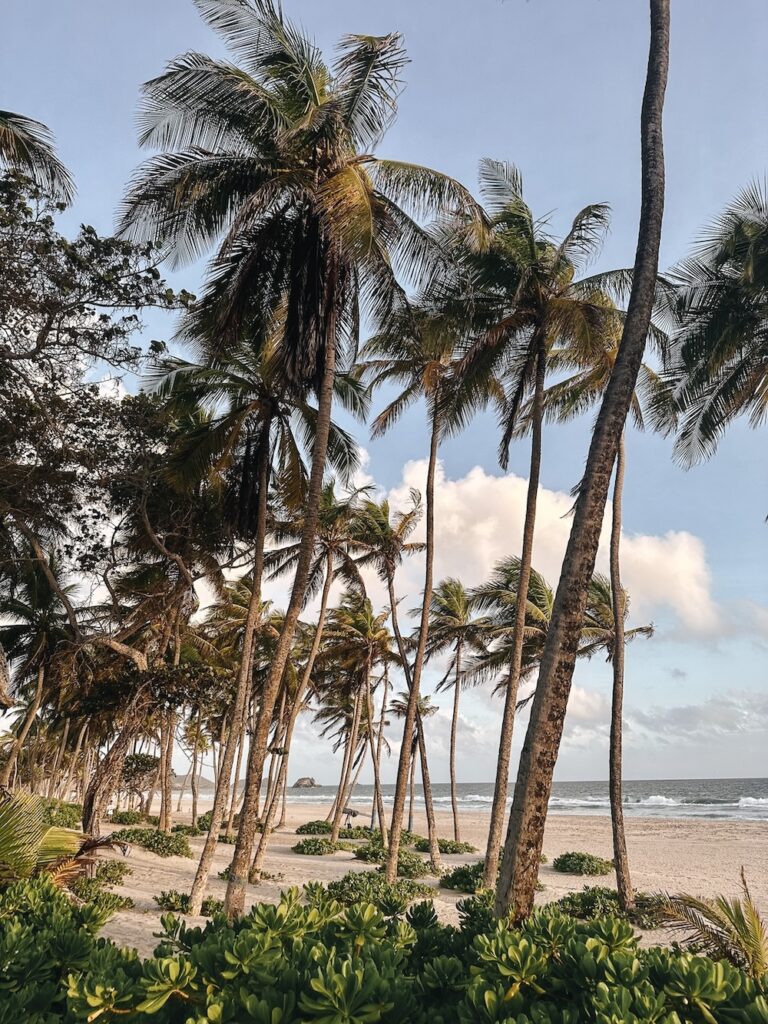 Viaje para a Ilha Margarita