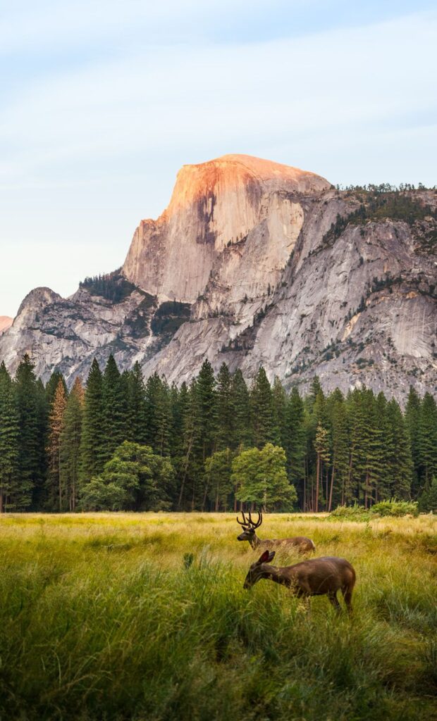 Viagem à California