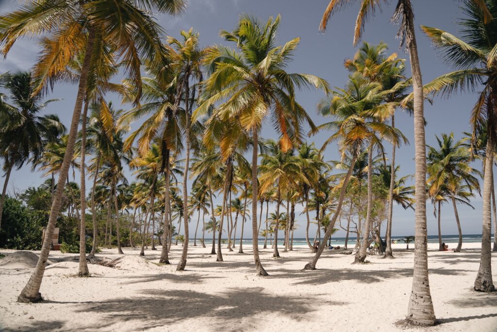 Praias do Parque Morrocoy