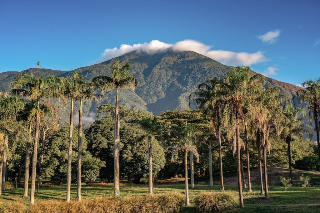 Parque del Este em Caracas